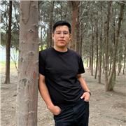 Profesor / a de Programación - Trabajo Remoto con Horario Flexible